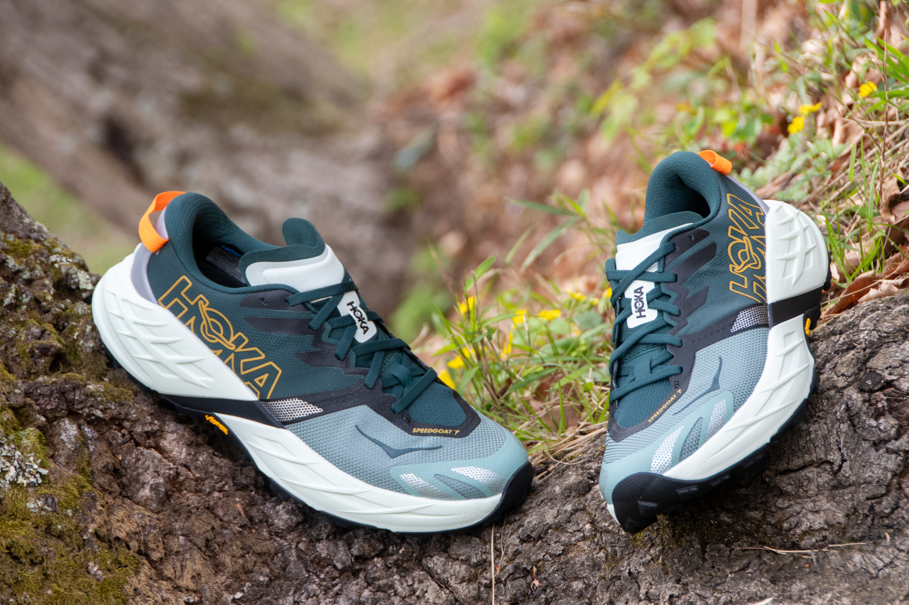 R.M Monthly Authentics：初めてでも間違いないランニングシューズ選び。番外トレラン《HOKA スピードゴート 7》　後編